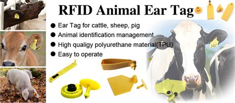 rfid tag for animals